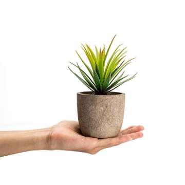 Velener Mini Home Decoration Aloe Vera Artificial Plants with Paper-Mache Pots (Set of 2), 7 inches and 5 inches, Faux Plants for Living Room, Kitchen, Bedroom, and Office Decor…