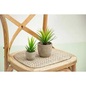Velener Mini Home Decoration Aloe Vera Artificial Plants with Paper-Mache Pots (Set of 2), 7 inches and 5 inches, Faux Plants for Living Room, Kitchen, Bedroom, and Office Decor…