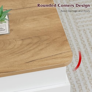 DMIDYLL Lift Top Coffee Table with Hidden Storage