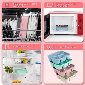 Eco-Friendly Microwaveable Bento Box 4-Pack for Lunch