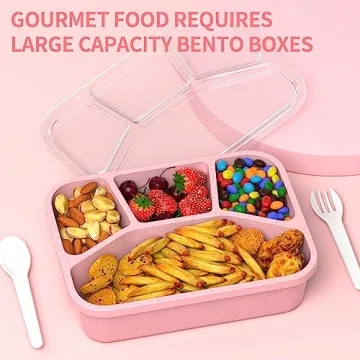 Eco-Friendly Microwaveable Bento Box 4-Pack for Lunch