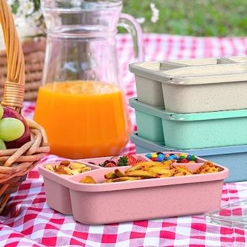 Eco-Friendly Microwaveable Bento Box 4-Pack for Lunch