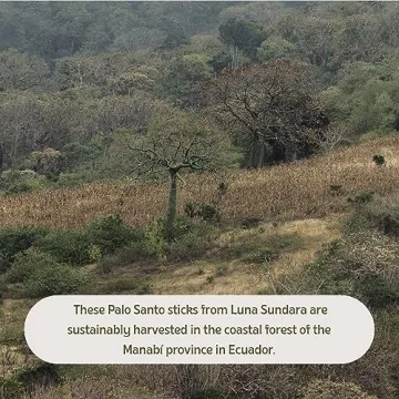 Palo Santo Sticks from Luna Sundara for Peace and Rituals