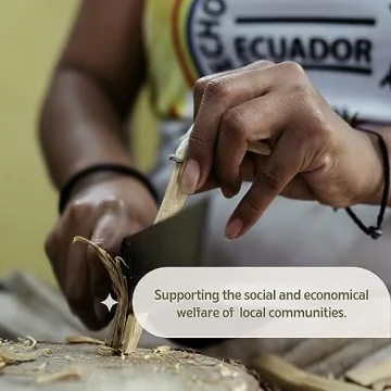 Palo Santo Sticks from Luna Sundara for Peace and Rituals