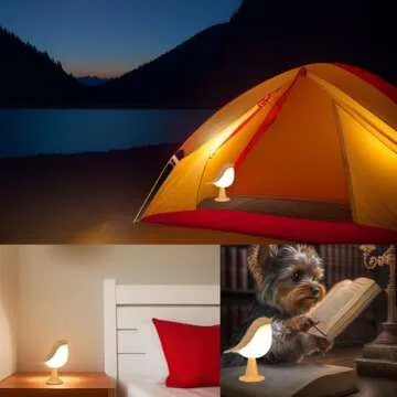 Xhope4u Cordless LED Bedside Lamp for All Occasions