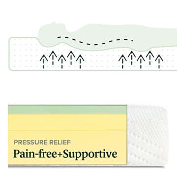 ZINUS 8 Inch Green Tea Essential Memory Foam Mattress, Queen, Mattress in A Box, Affordable Mattress, CertiPUR-US Certified