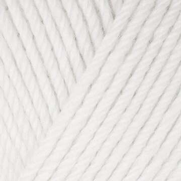 Cascade Yarns - Cascade 220 Superwash [3-DK] 871 White