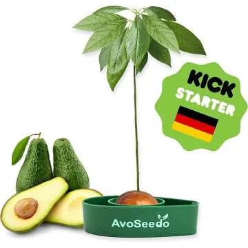 AvoSeedo Avocado Growing Kit for Women & Friends