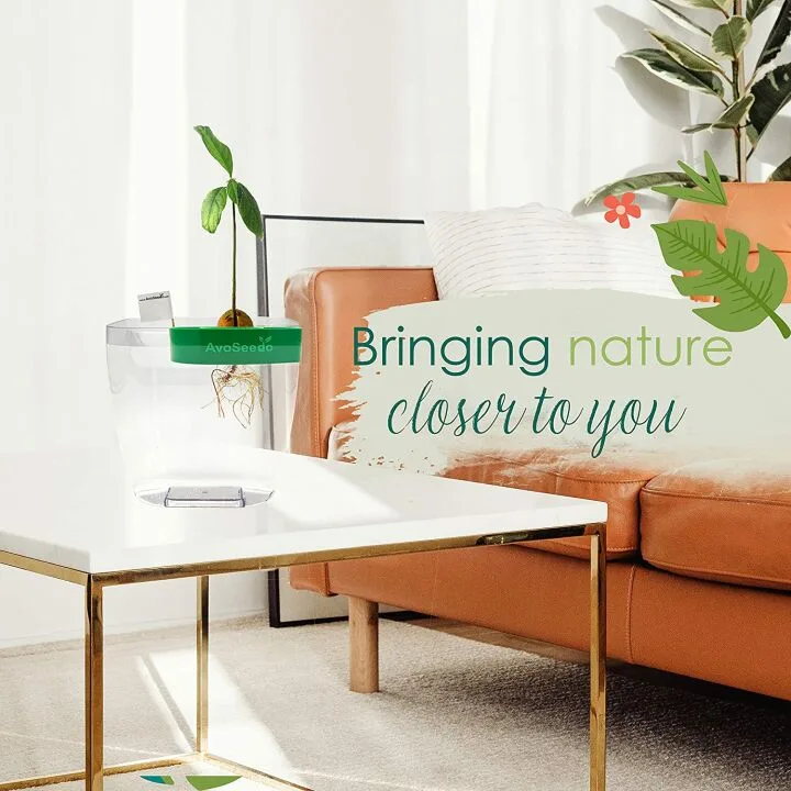 AvoSeedo Avocado Growing Kit for Women & Friends