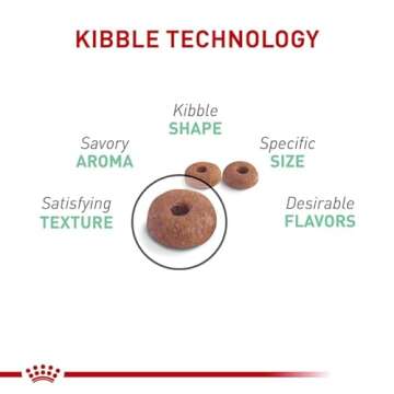 Royal Canin Digestive Care Dry Cat Food for Sensitive Stomachs