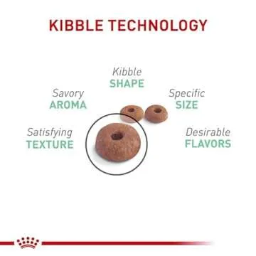 Royal Canin Digestive Care Dry Cat Food for Sensitive Stomachs