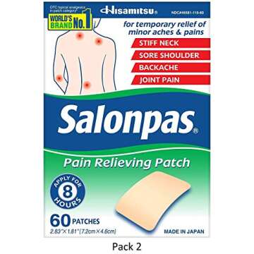 Salonpas Pain Relieving Patch - 60 Patches (Pack of 2)