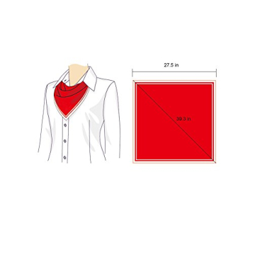 Elegant SATINIOR Chiffon Scarf for Women | Versatile Accessory