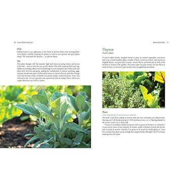Discover Food Plant Families for Healthy Living