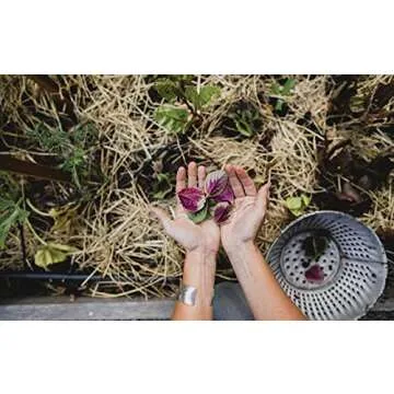 Discover Food Plant Families for Healthy Living