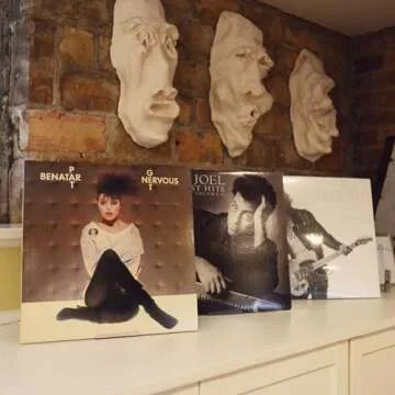 CollectorMount Album Mount Frame for Vinyl Records Display