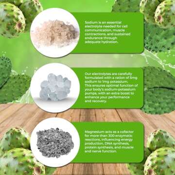 Santa Cruz Paleo Prickly Pear Electrolyte Powder