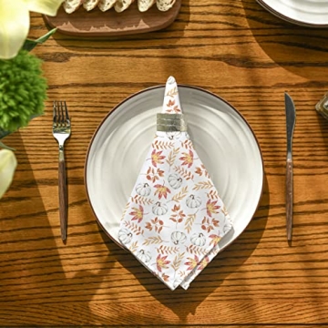 Horaldaily Fall Cloth Napkin Set for Thanksgiving Decor