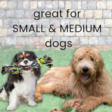 Durable Dog Rope Toys for Small to Medium Dogs 4-Pack