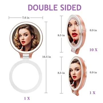 deweisn Magnifying Makeup Mirror with Lights 10X/1X