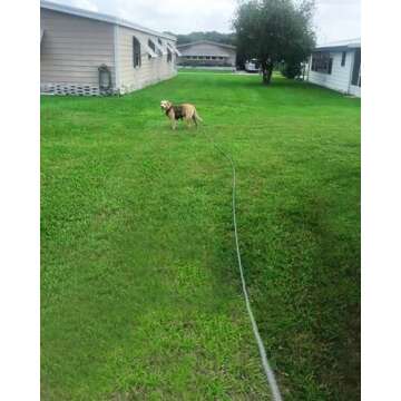 Mycicy Long Rope Leash for Dog Training 12, 15, 22, 30, 50, 75, 100ft Check Cord Recall Agility Lead Tie Out Dog Line for Small Medium Dogs, Great for Outdoor, Camping, or Backyard (30 feet)