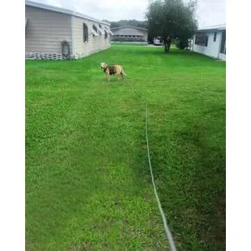 Mycicy Long Rope Leash for Dog Training 12, 15, 22, 30, 50, 75, 100ft Check Cord Recall Agility Lead Tie Out Dog Line for Small Medium Dogs, Great for Outdoor, Camping, or Backyard (30 feet)