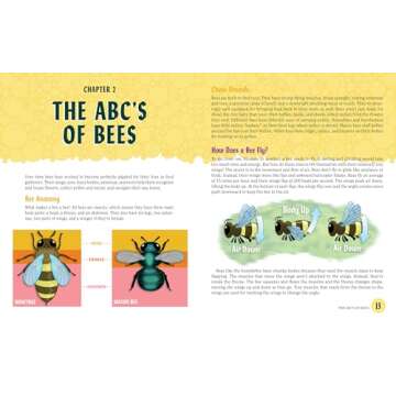 Explore Bees with Interactive Beehive Book for Kids