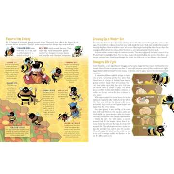 Explore Bees with Interactive Beehive Book for Kids