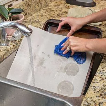 Homey 10-Pack Flexible Reusable and Resizable Non Stick Teflon Food Dehydrator Sheets, 14x14-Inches