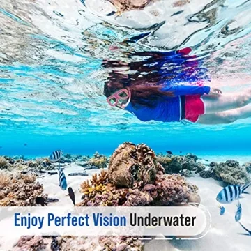 PRODIVE Premium Dry Top Snorkel Set - Impact Resistant Tempered Glass Diving Mask, Watertight and Anti-Fog Lens for Best Vision, Easy Adjustable Strap, Waterproof Gear Bag Included