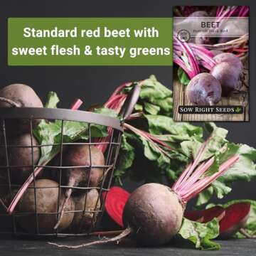 Sow Right Seeds - Detroit Dark Red Beet Seeds for Planting - Non-GMO Heirloom Packet with Instructions to Plant & Grow an Outdoor Home Vegetable Garden - Nutritious, Cold Hardy, and Productive (1)
