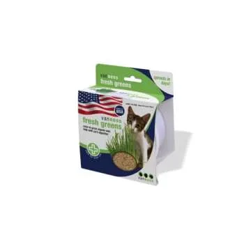 Van Ness Pureness Oat Garden Kit, 1-Ounce, Greens