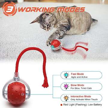 IOKHEIRA Interactive Cat Toys Ball, Motion Activate Electric Cat Toy, Automatic Pet Exercise Toys, S...