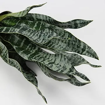 Hollyone Faux Snake Plant for Home and Office Decor