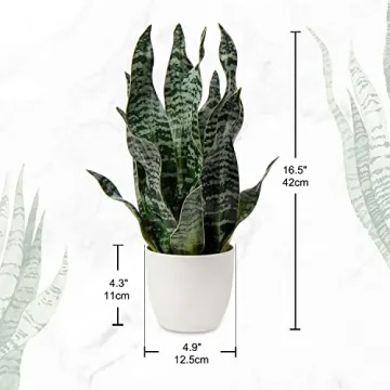 Hollyone Faux Snake Plant for Home and Office Decor