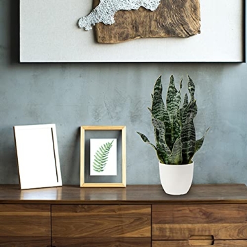 Hollyone Faux Snake Plant for Home and Office Decor