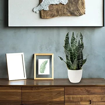 Hollyone Faux Snake Plant for Home and Office Decor