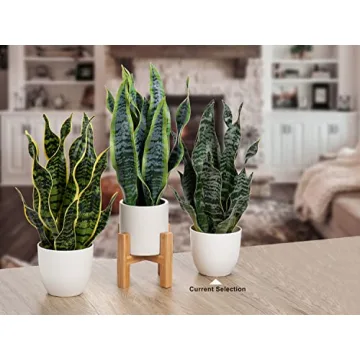 Hollyone Faux Snake Plant for Home and Office Decor