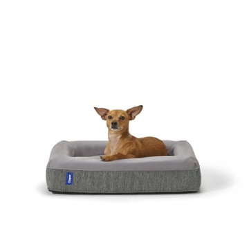 Casper Dog Bed for Ultimate Comfort and Style