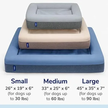Casper Dog Bed for Ultimate Comfort and Style