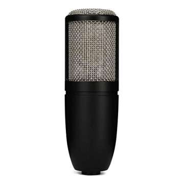 AKG Pro Audio Pro Audio Perception 220 Professional Studio Microphone, Silver Blue