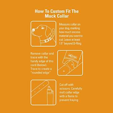 Kurgo Waterproof Muck Collar & Leash for Dogs | Matching Collar & Leash for Pets | Color Splash | Large