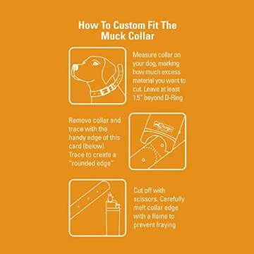 Kurgo Waterproof Muck Collar & Leash for Dogs | Matching Collar & Leash for Pets | Color Splash | Large