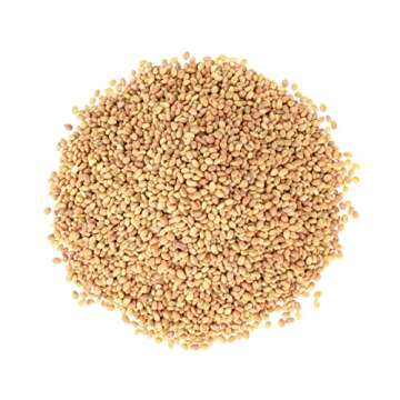 Food to Live - Clover Seeds for Sprouting, 1 Pound Pure, Vegan, Kosher, Bulk. Edible Seeds. Rich in Vitamin C. High Germitation Rate. Grow Sprouts, and Microgreens.