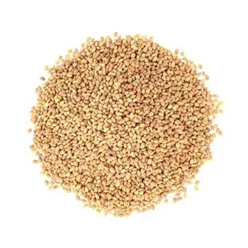 Food to Live - Clover Seeds for Sprouting, 1 Pound Pure, Vegan, Kosher, Bulk. Edible Seeds. Rich in Vitamin C. High Germitation Rate. Grow Sprouts, and Microgreens.