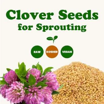 Food to Live - Clover Seeds for Sprouting, 1 Pound Pure, Vegan, Kosher, Bulk. Edible Seeds. Rich in Vitamin C. High Germitation Rate. Grow Sprouts, and Microgreens.