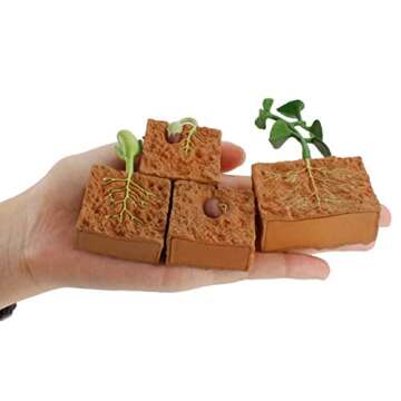 helegeSONG 4Pcs Life Cycle of a Green Plant Grown Lifelike Plants Educational Toy PVC Plant Growth C...