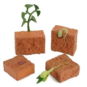 helegeSONG 4Pcs Life Cycle of a Green Plant Grown Lifelike Plants Educational Toy PVC Plant Growth Cycle Fake Plant Toy for Kids Teaching Tool Green