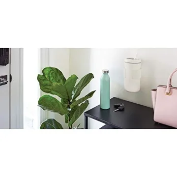 iDesign Wall Mount Wipe Holder for Convenient Access