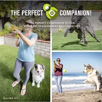 Hyper Pet Dog Tennis Balls - 12 Pack 2.5" for Exercise and Fetch; Interactive Toys; Great for Small Breeds